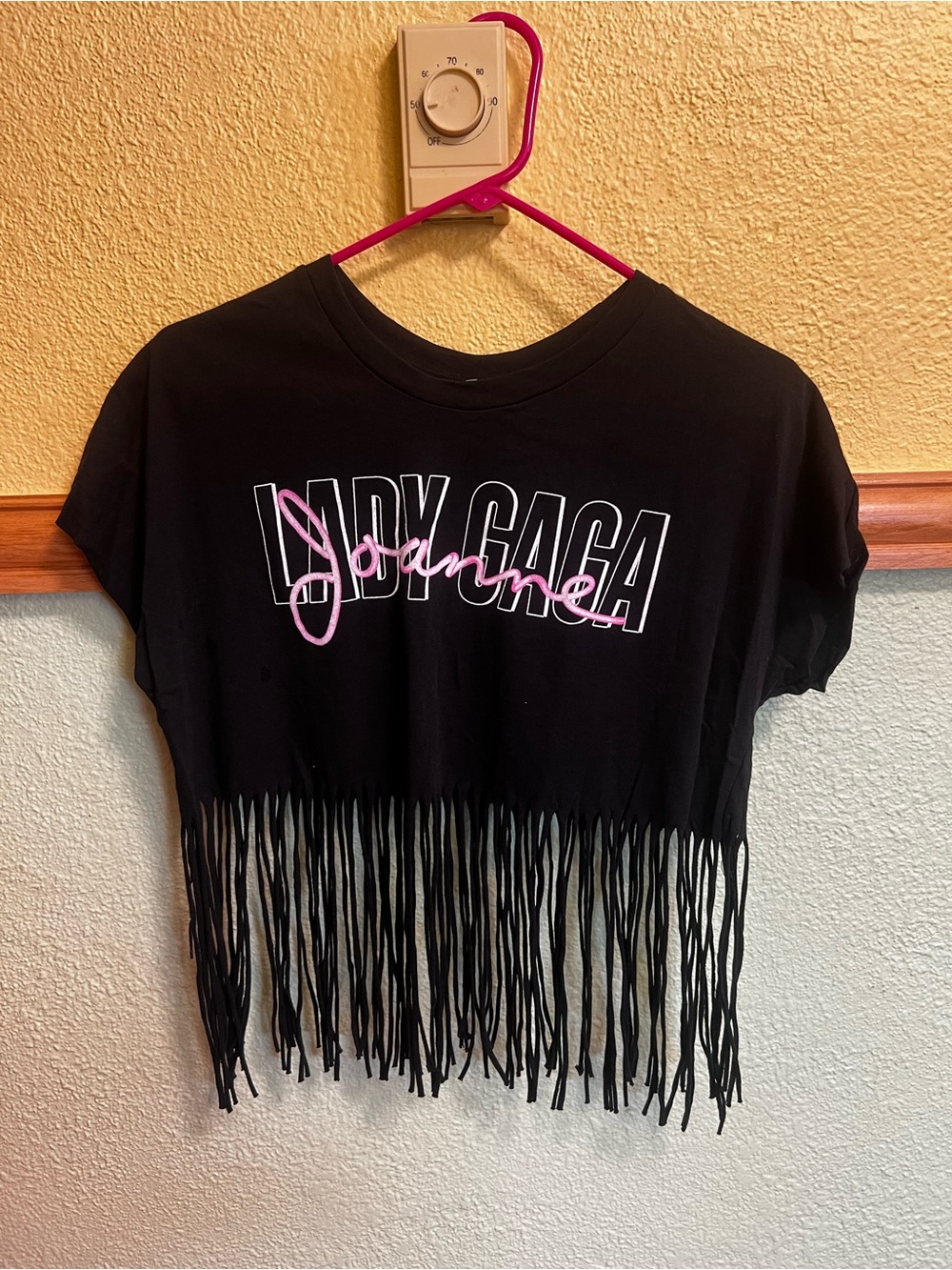 Lady Gaga Tour-Inspired Black Fringe Crop Top with Pink Script
